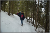 Wandeling in het regenwoud