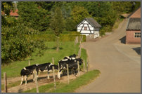 Onderweg naar de HEIMANSGROEVE