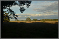 op de terugweg naar de camping