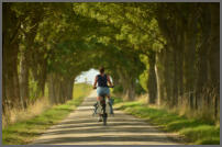 Fietsen in alle rust