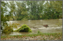 de rivier neemt puin mee